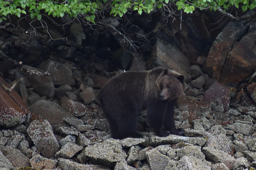 Alaska 2017