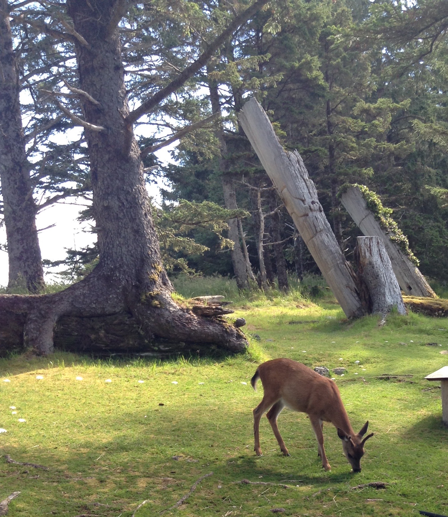 Gwaii Haanas