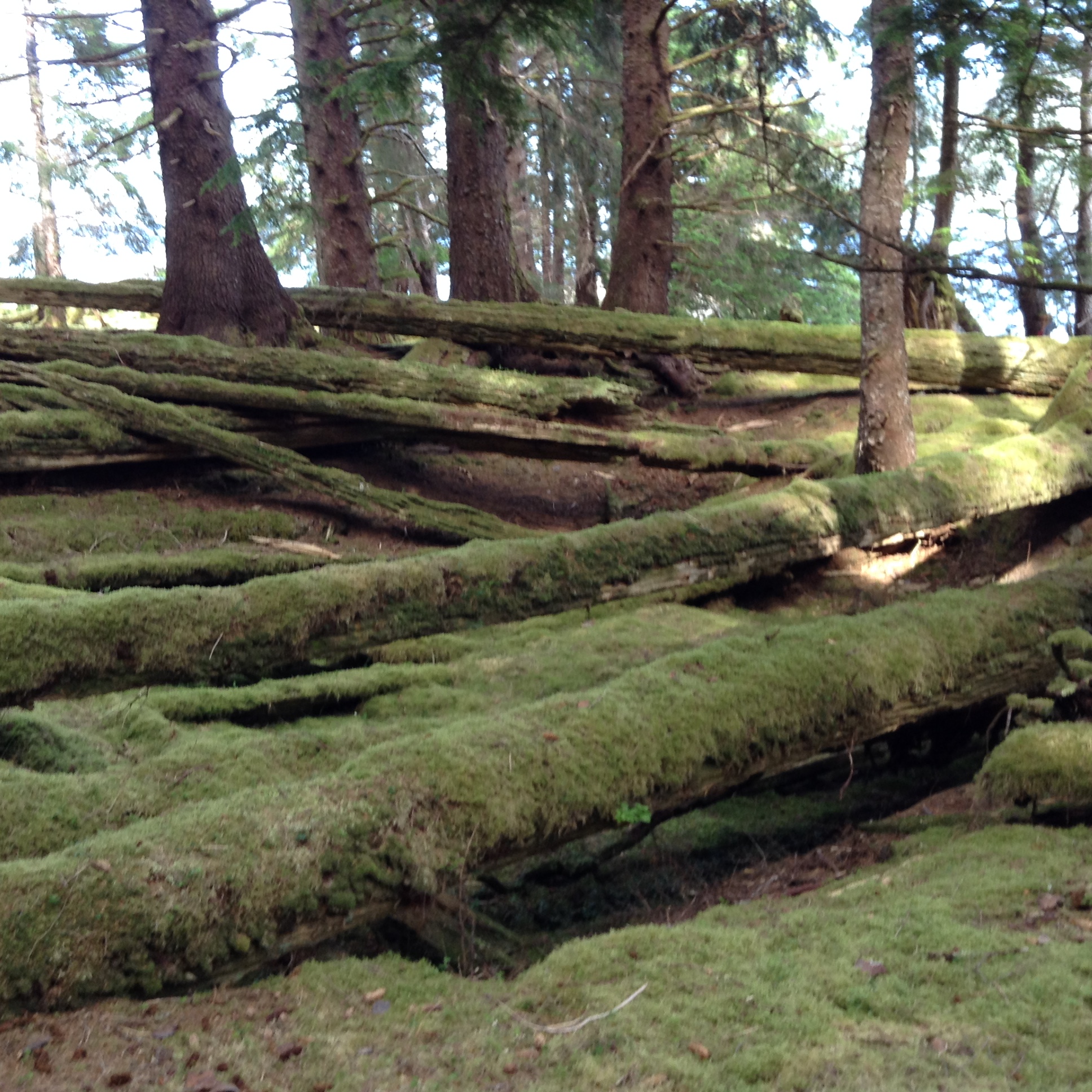 Gwaii Haanas