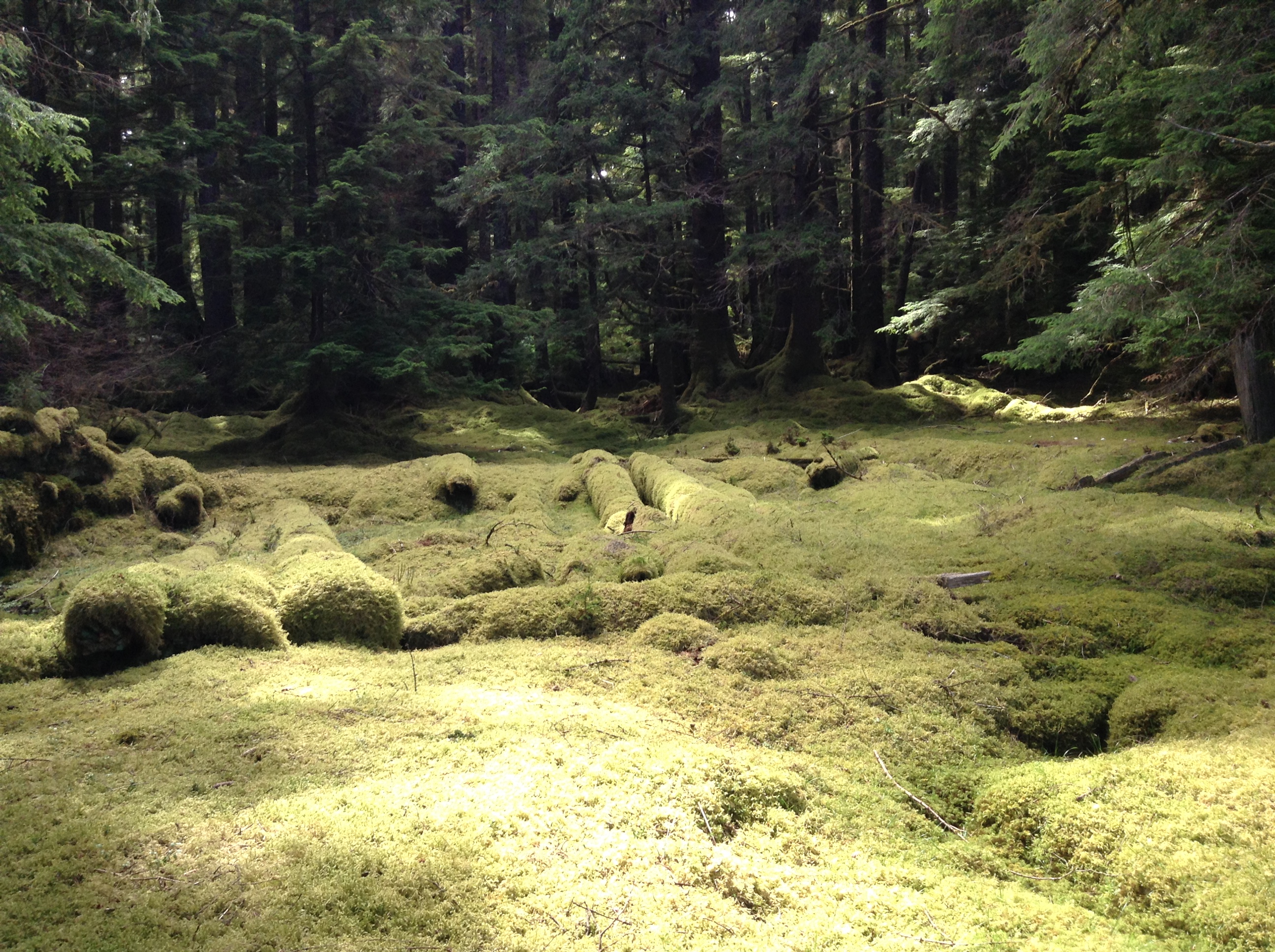 Gwaii Haanas