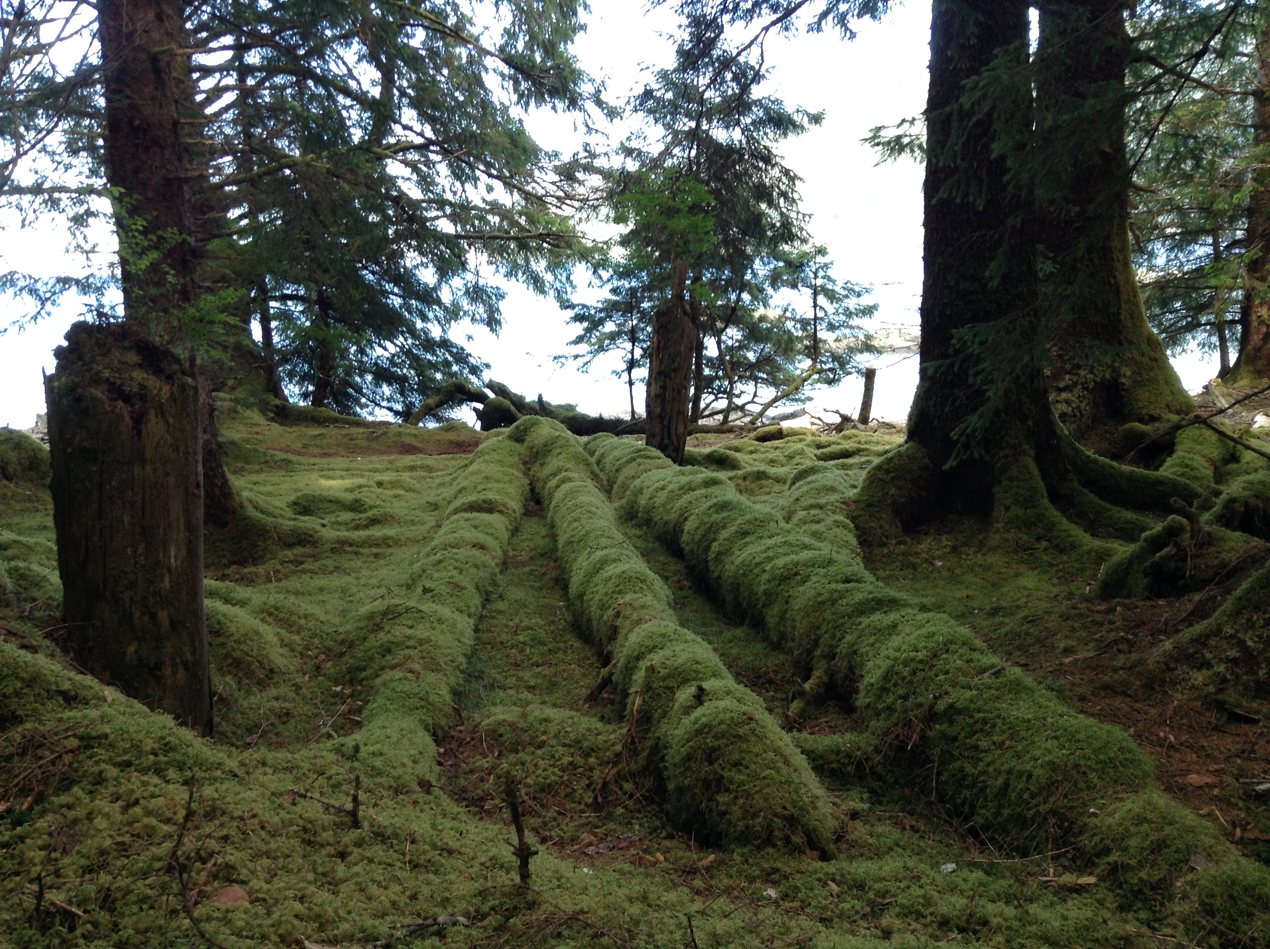 Gwaii Haanas