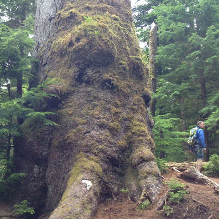 Gwaii Haanas